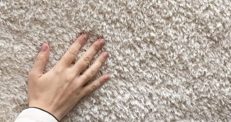 When Should You Get Your Carpets Replaced (1)